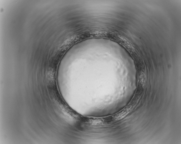 X0000087360662200705041856