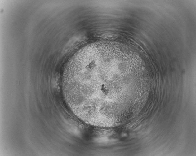 X0000087360663200705041856