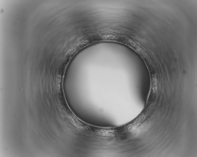 X0000087360664200705041856