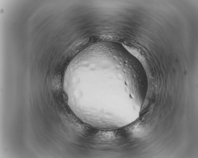 X0000087360665200705041856