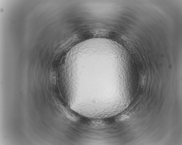 X0000087360666200705041856