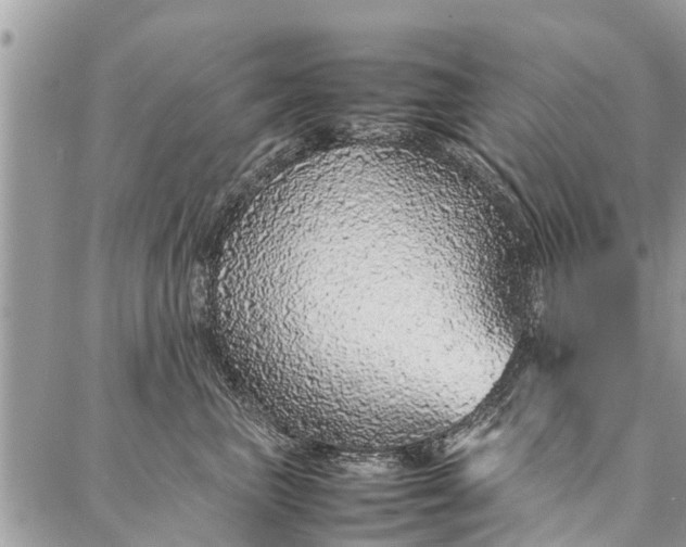 X0000087360667200705041856