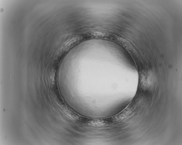 X0000087360668200705041856