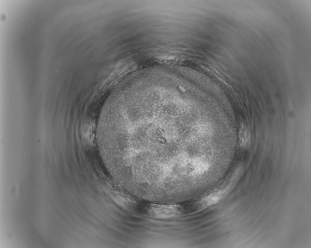 X0000087360671200705041857