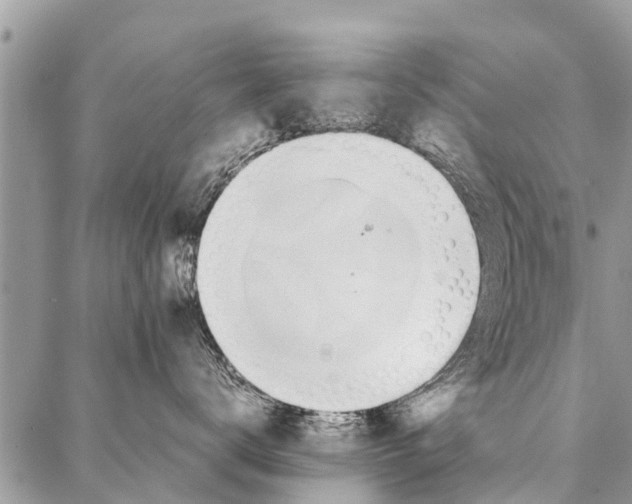 X0000087360672200705041857