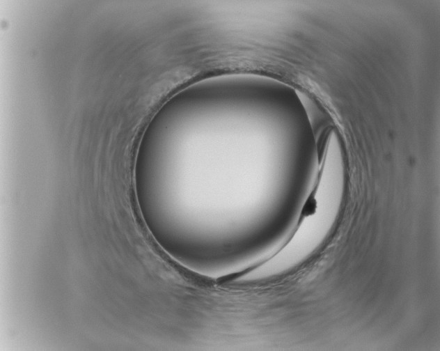 X0000087360673200705041856