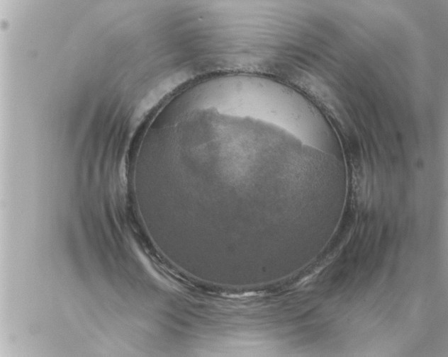 X0000087360674200705041856