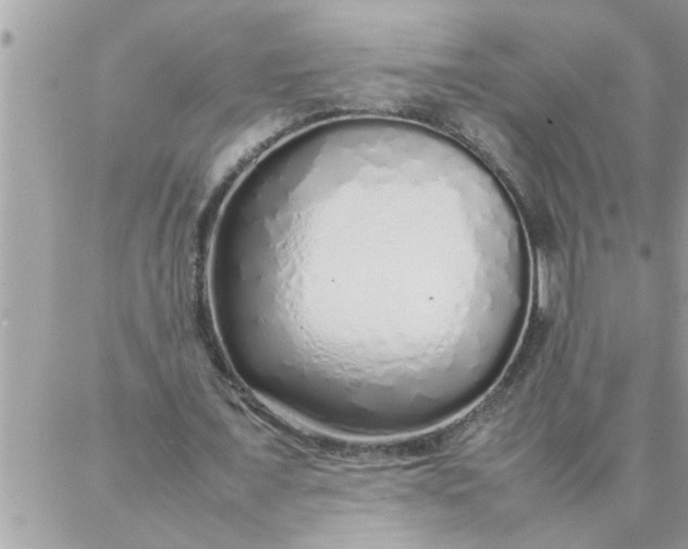 X0000087360675200705041856