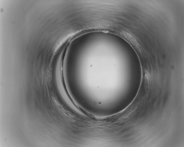 X0000087360676200705041856