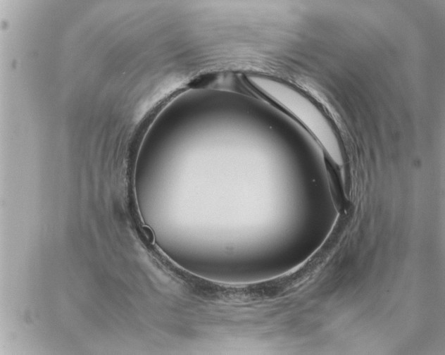 X0000087360677200705041856