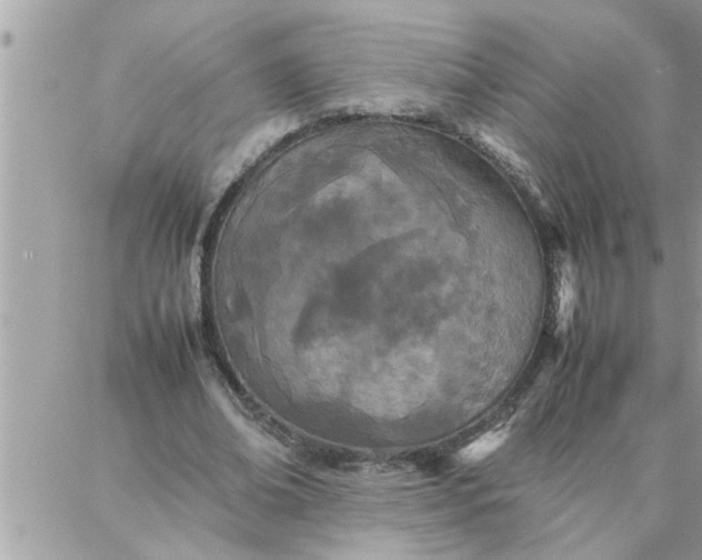 X0000087360678200705041856