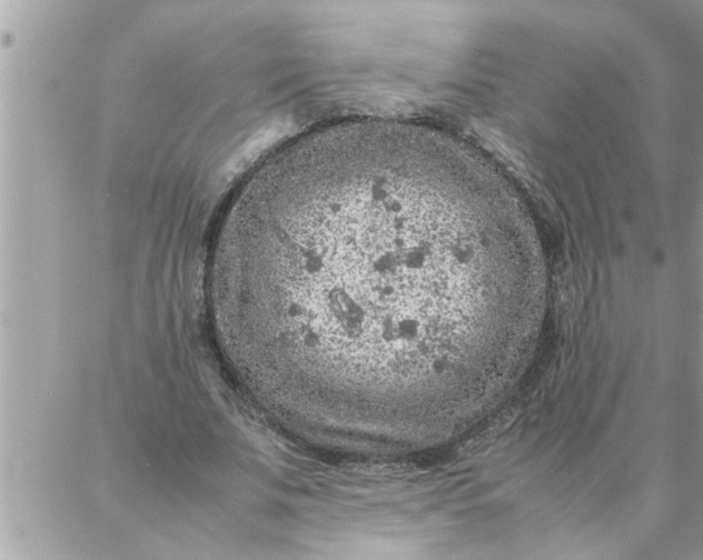 X0000087360679200705041856