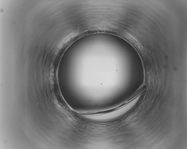 X0000087360680200705041856