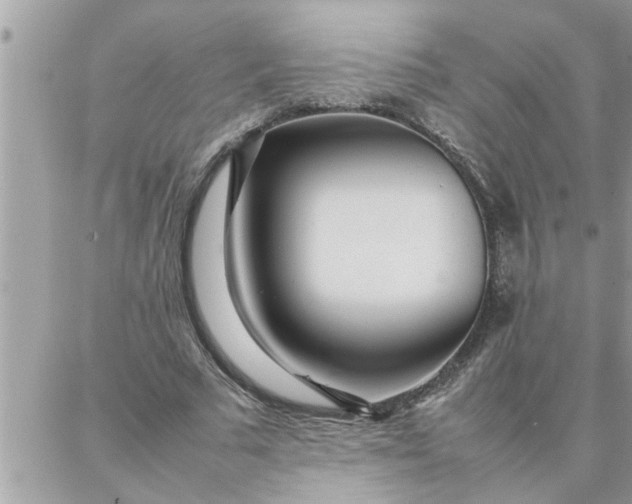 X0000087360681200705041856