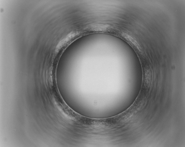 X0000087360682200705041856