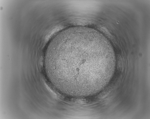 X0000087360683200705041856