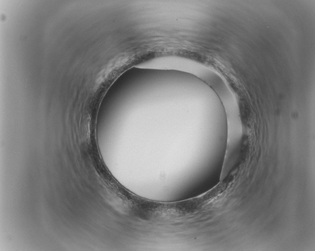 X0000087360685200705041856