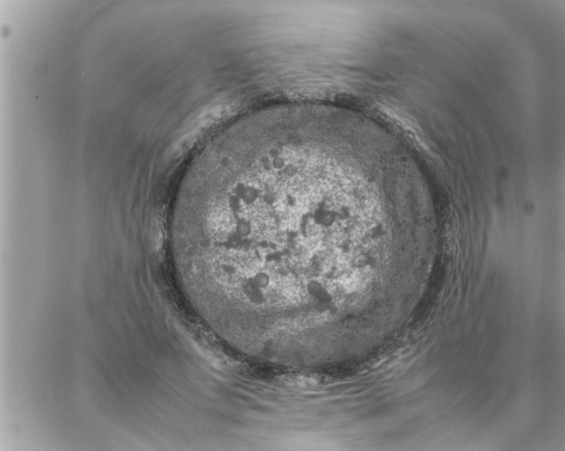 X0000087360687200705041856