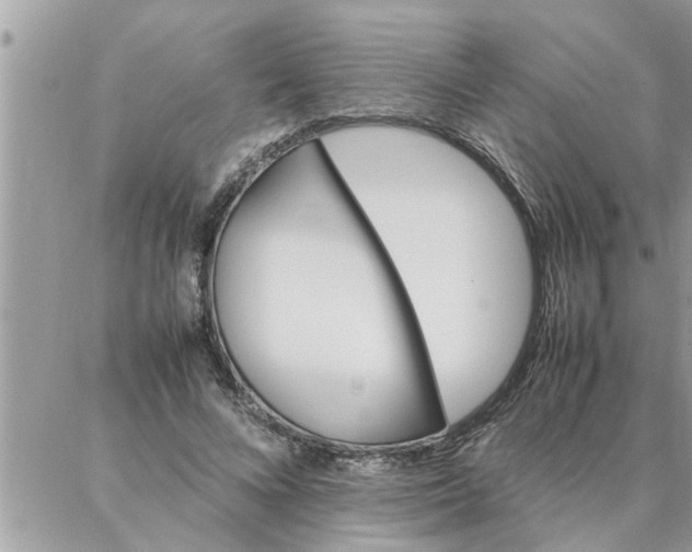 X0000087360688200705041856