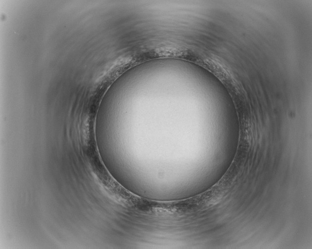 X0000087360690200705041855