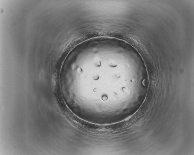 X0000087360691200705041855