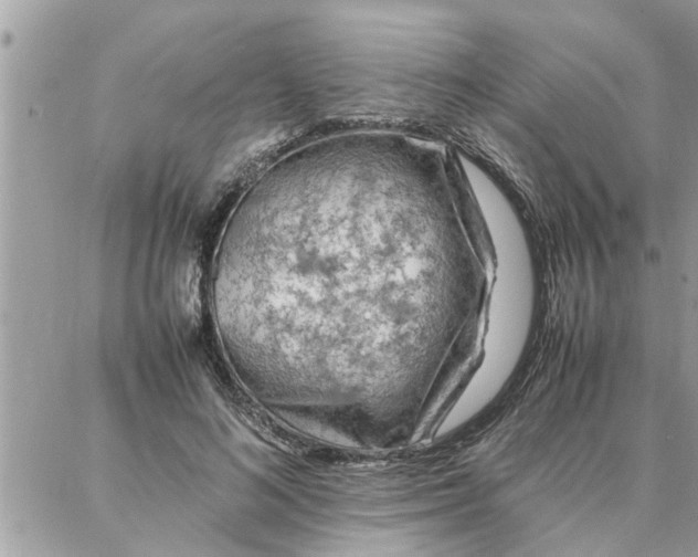 X0000087360692200705041855