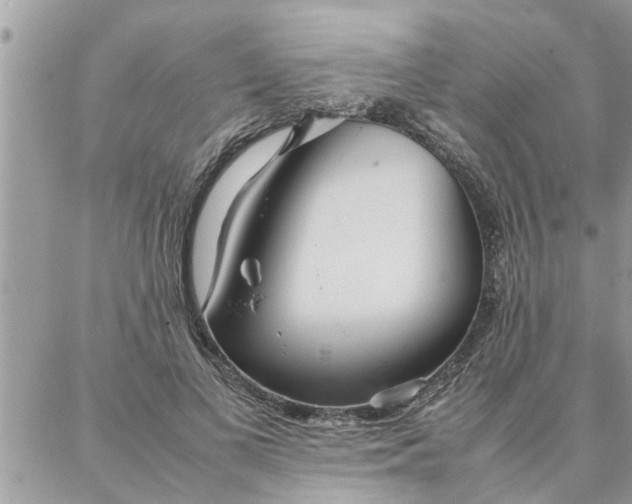 X0000087360693200705041855