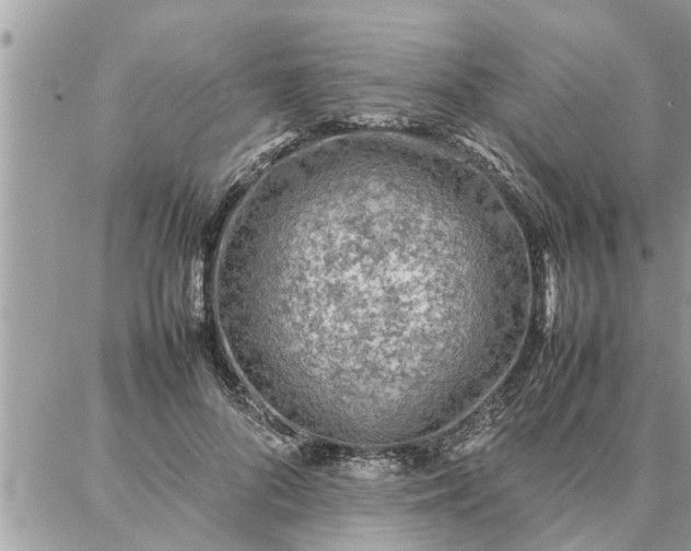 X0000087360696200705041855