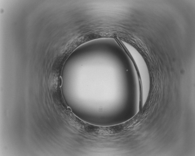 X0000087360697200705041855