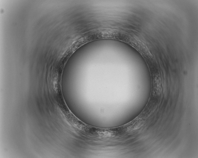 X0000087360698200705041855