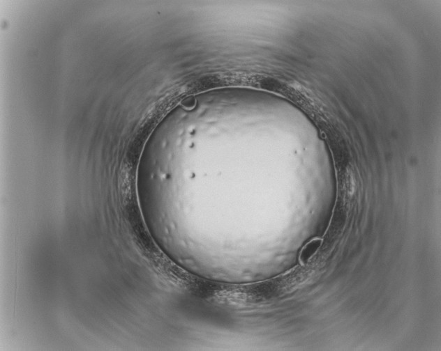 X0000087360699200705041855