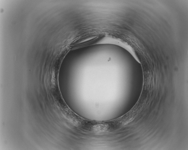 X0000087360700200705041855