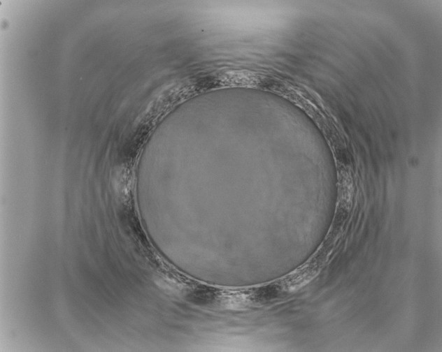 X0000087360701200705041855