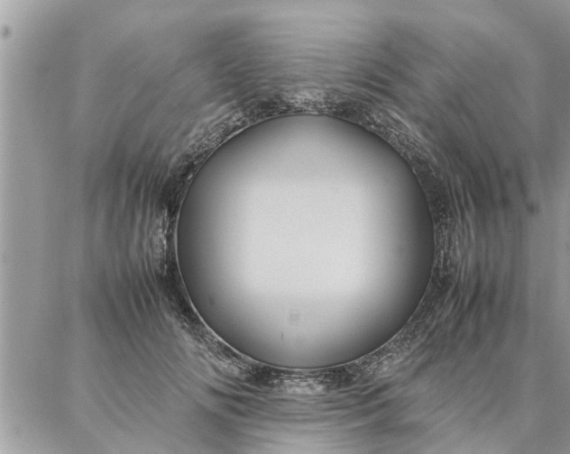 X0000087360702200705041855