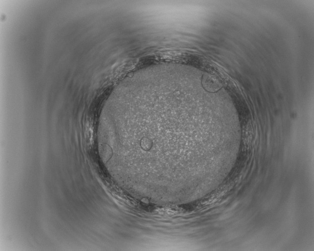 X0000087360703200705041855