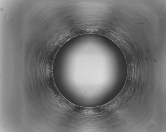 X0000087360704200705041855