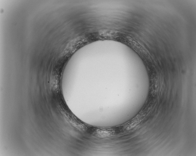 X0000087360706200705041855