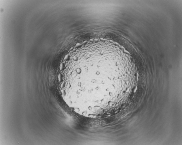 X0000087360707200705041855