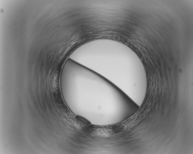 X0000087360708200705041855