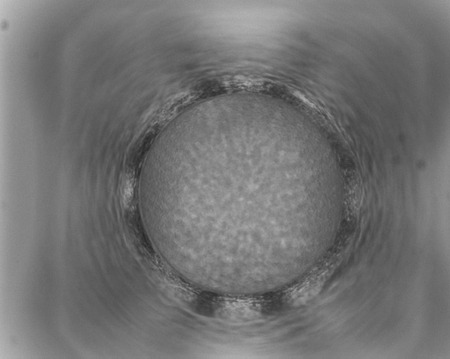 X0000087360709200705041855