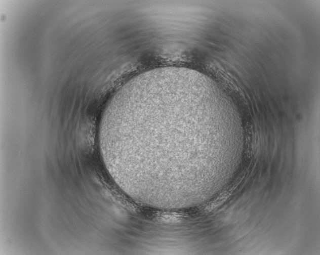 X0000087360710200705041855