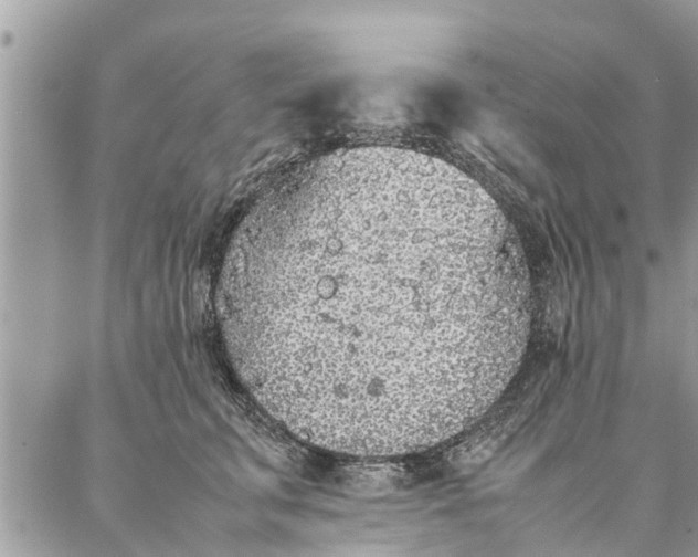 X0000087360711200705041855