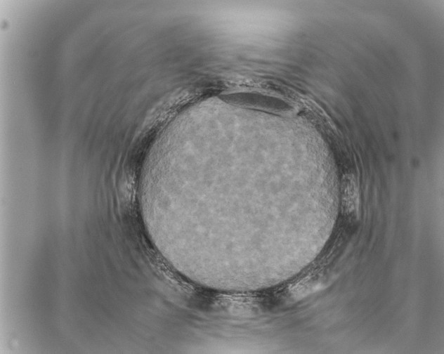 X0000087360713200705041855