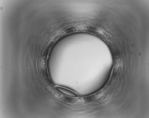 X0000087360715200705041855