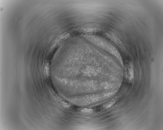 X0000087360718200705041855