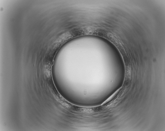 X0000087360719200705041855