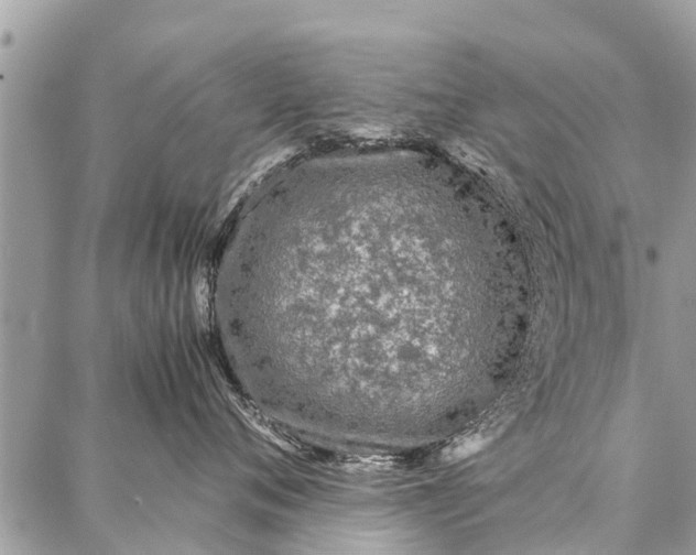 X0000087360720200705041855