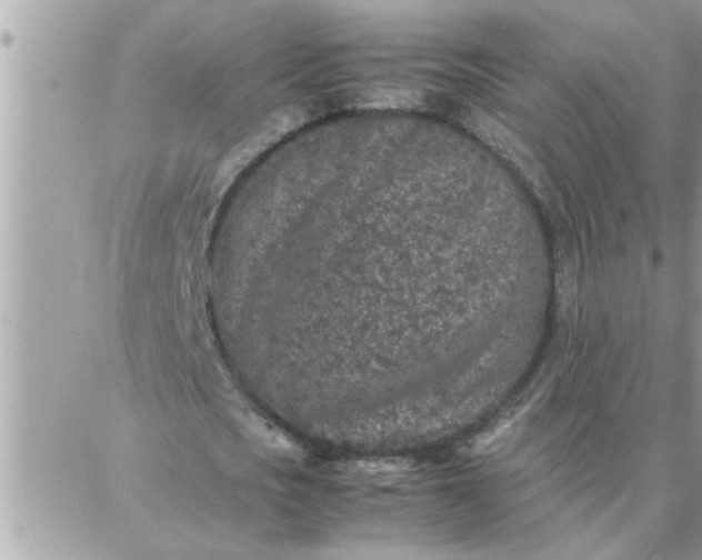 X0000087360721200705041854