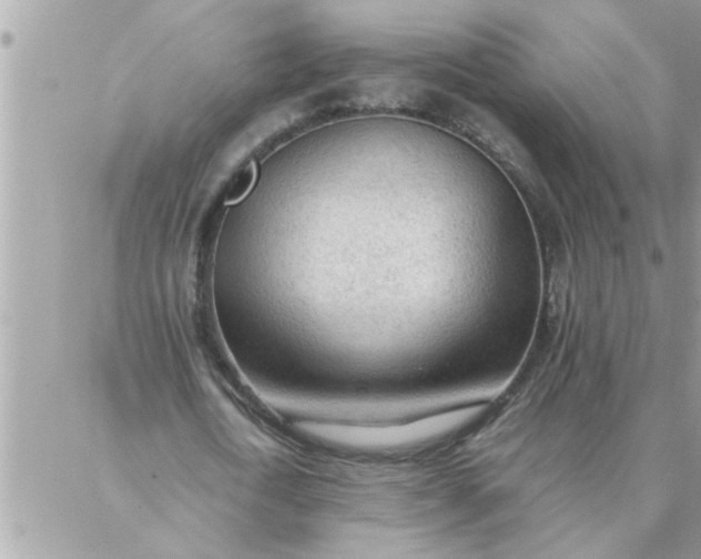 X0000087360722200705041854