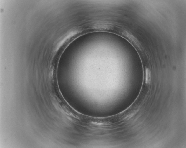 X0000087360723200705041854